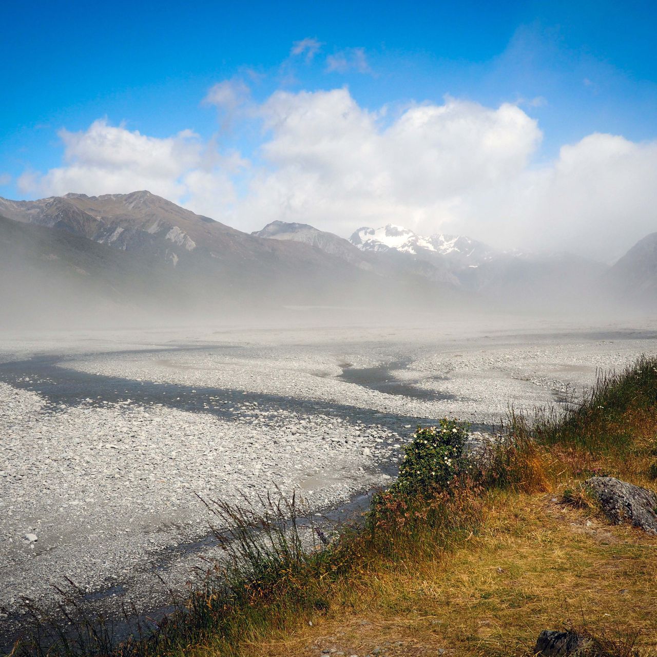 erfahrungsbericht-freiwilligenarbeit-naturschutz-neuseeland-nancy-landschaft-gras-natucate