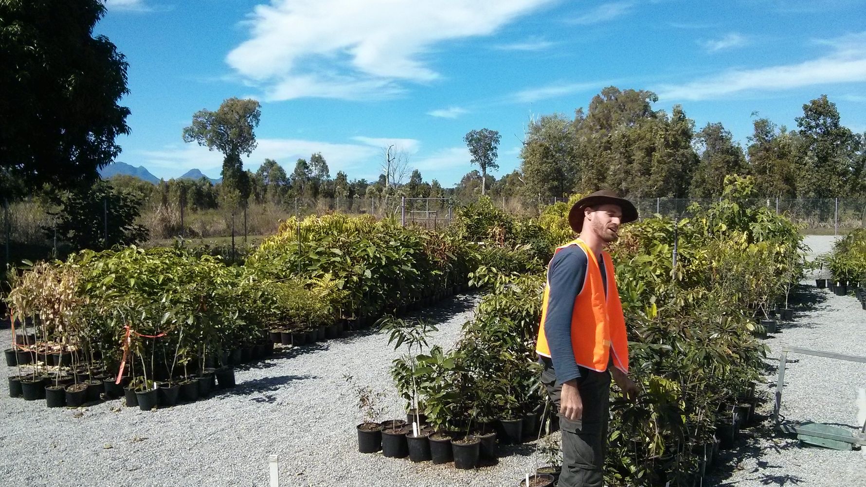 erfahrungsberichte-sabbatical-neuseeland-naturschutz-ulrich-arbeit-natucate
