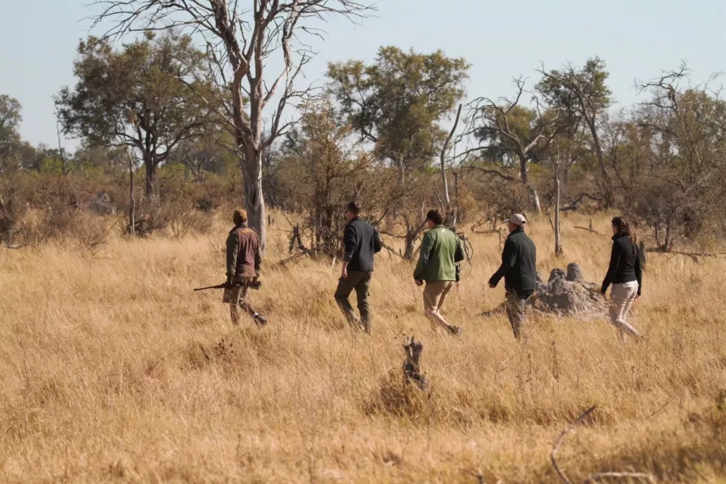naturkurs-botswana-track-and-trail-game-walk-natucate