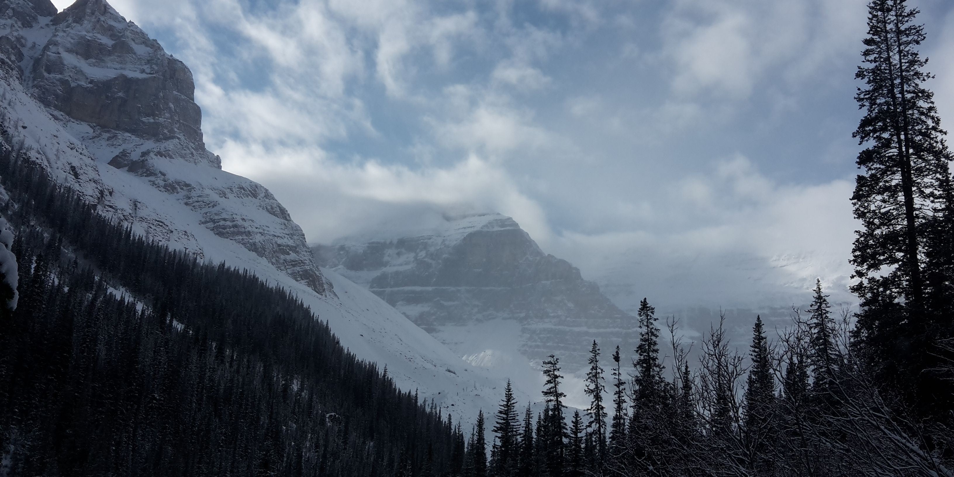 auslandspraktikum-usa-nordamerika-oekologische-landwirtschaft-schnee-berge-natucate