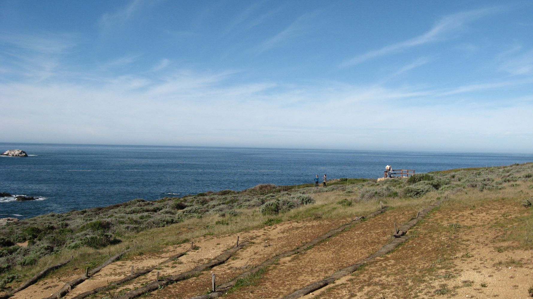 freiwilligenarbeit-usa-kalifornien-erfahrungsbericht-naturschutz-meer-natucate