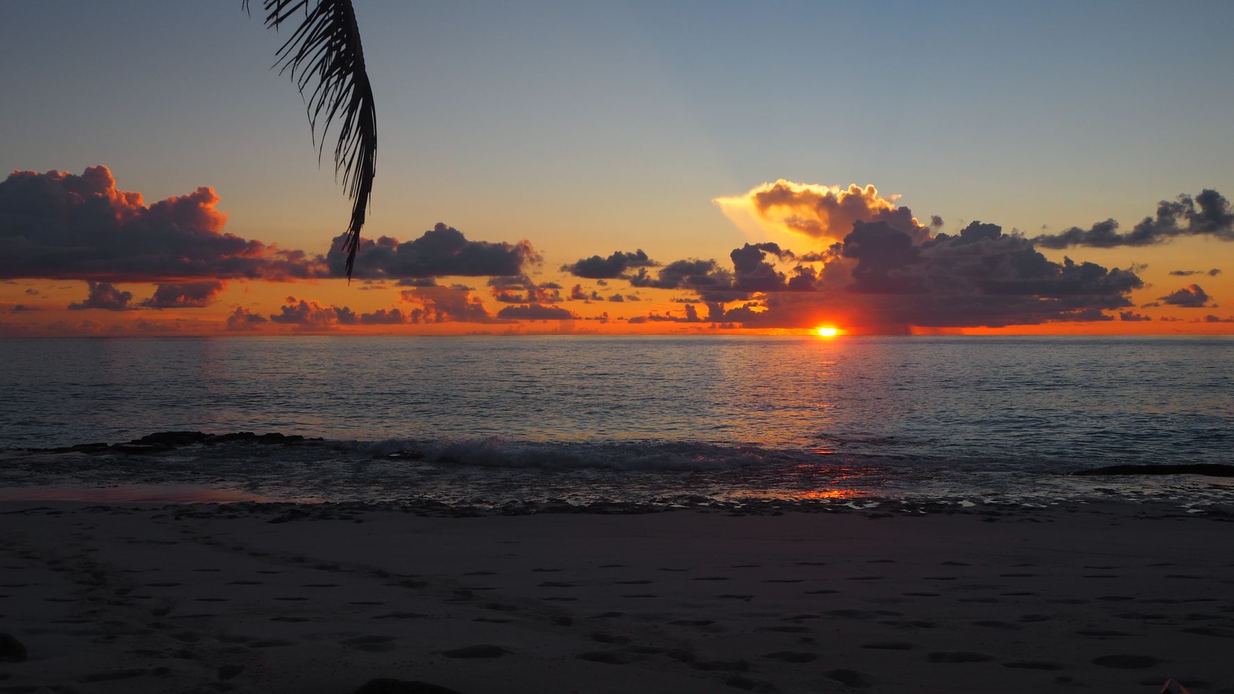 freiwilligenarbeit-seychellen-artenschutz-erfahrungsbericht-kundenfotos-sonne-natucate
