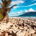 reiseorte-seychellen-north-island-strand-steine-natucate
