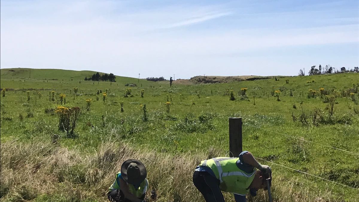 Zwei Volunteers arbeiten fuer den Erhalt des Naturschutzes auf einem Feld
