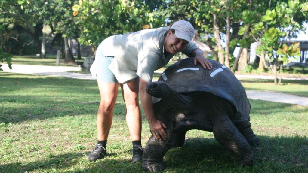 erfahrungsberichte-sabbatical-australien-afrika-naturschutz-silvia-landschildkroete-natucate