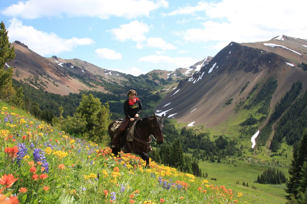 natur-und-rangerkurs-kanada-nordamerika-pferdeguide-guide-pferde-reiten-pferd-wiese-natucate