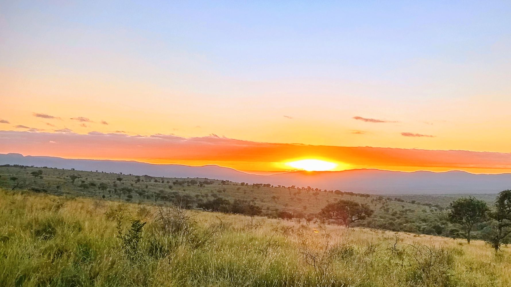 Sunset in the africa bush