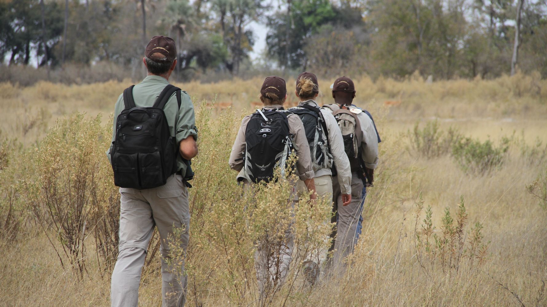 Walking safari Africa: Safari travellers and their guide walking through Botswana's savannah, towards a herd of impalas