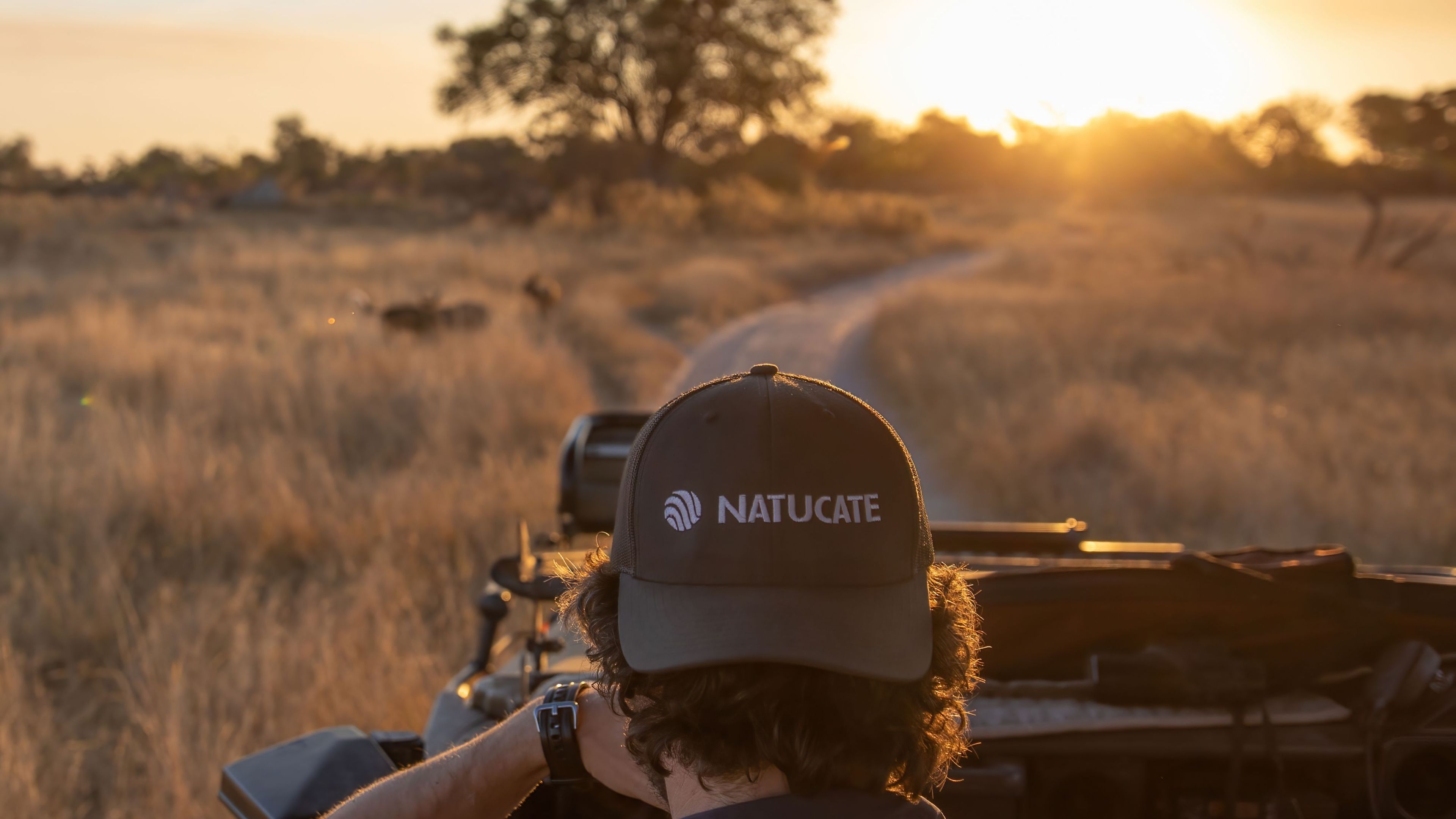 landingpage-rangerkurse-suedafrika-pirschfahrt-natucate