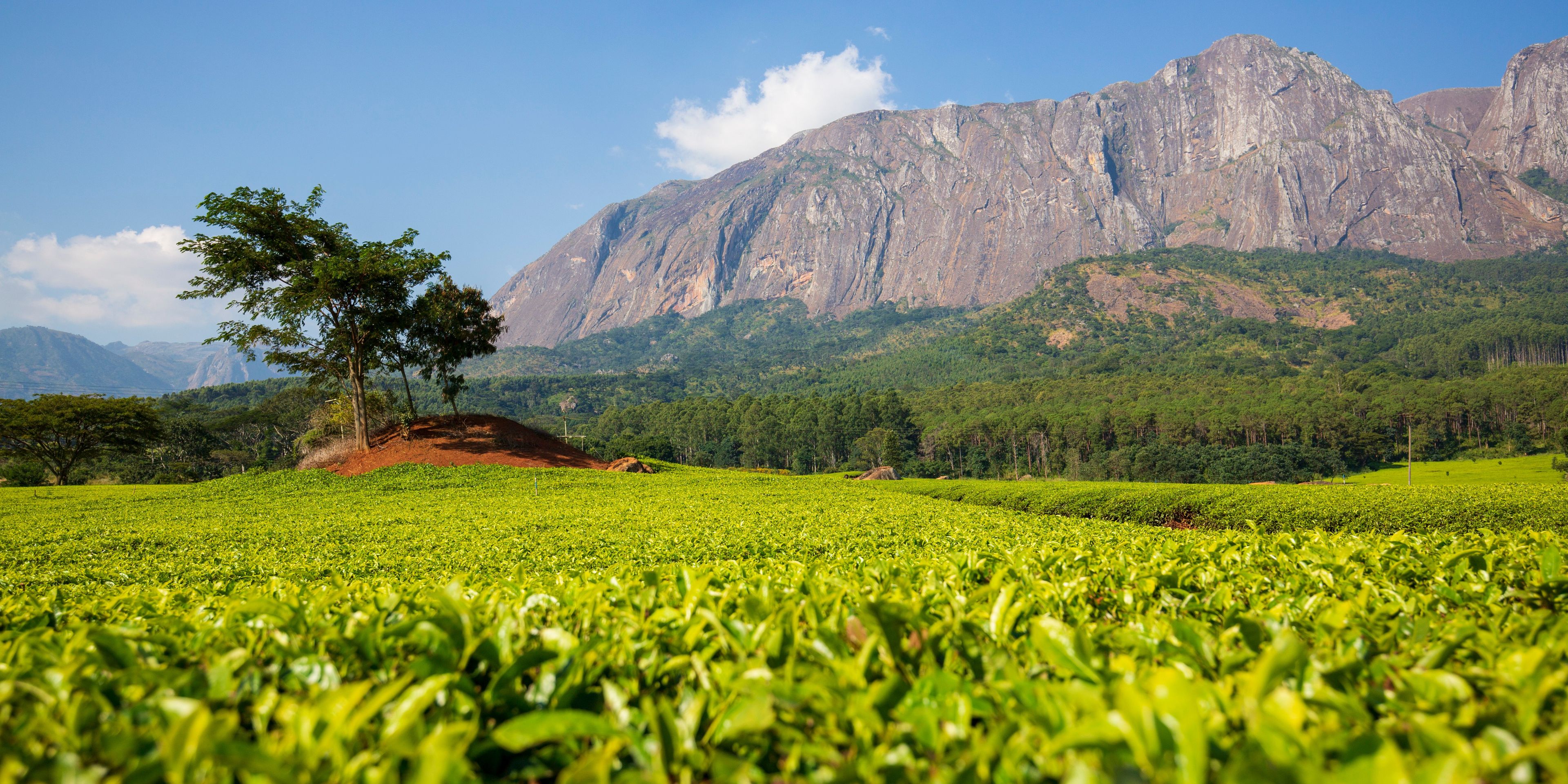 natucate-internship-malawi-wildlife-mountains-landscape