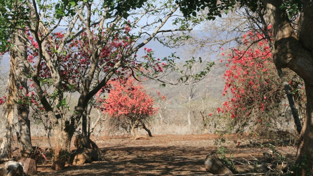 erfahrungsbericht-suedafrika-kundenfotos-sabbatjahr-landschaft-natucate