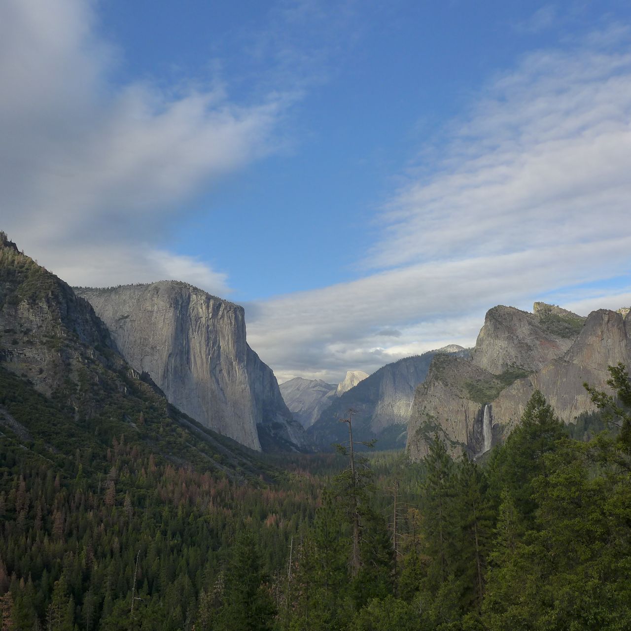 freiwilligenarbeit-usa-kalifornien-erfahrungsbericht-naturschutz-kundenfotos-natucate