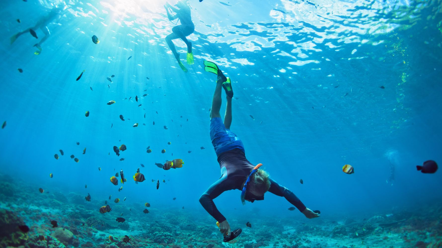 Diver Underwater