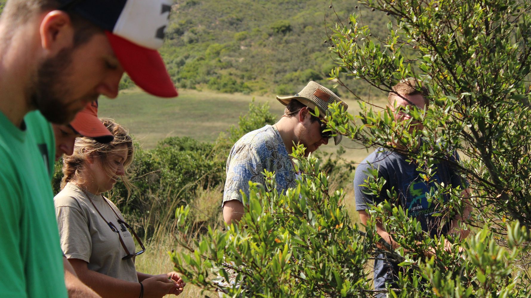 Volunteering South Africa Western Cape: Volunteers at work in nature