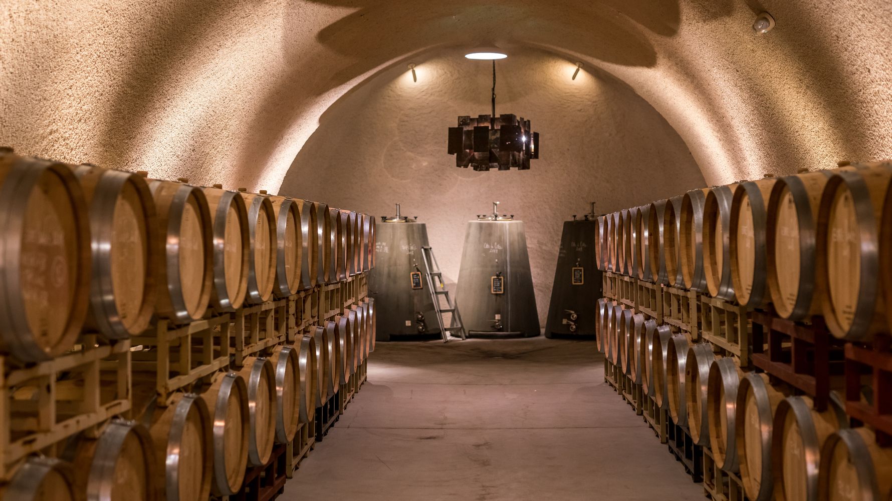 erfahrungsberichte-praktikum-usa-weinbau-michael-weinlagerung