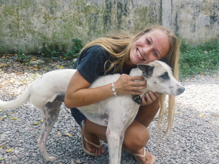 erfahrungsberichte-freiwilligenarbeit-thailand-ko-lanta-tierschutz-andrea-hund-natucate