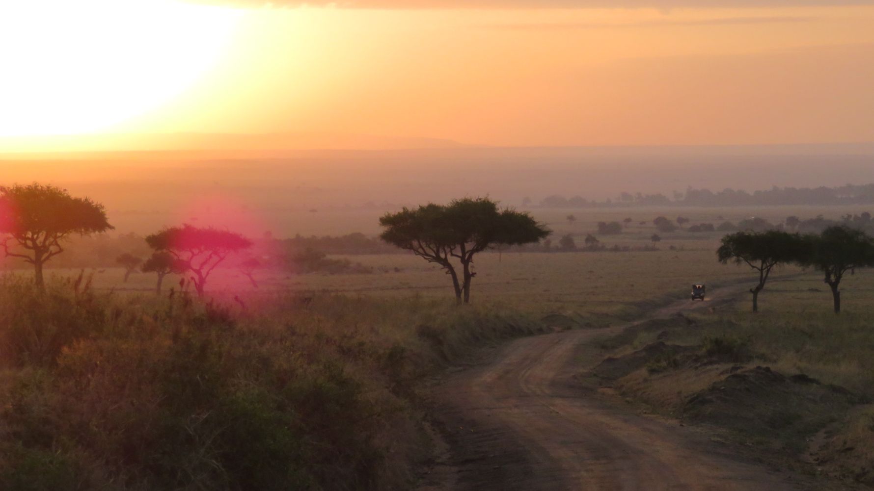 landingpage-rangerkurs-kenia-sonnenuntergang-natucate