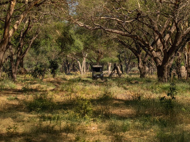natucate-pwe-tanzania-usangu-game-drive-hero
