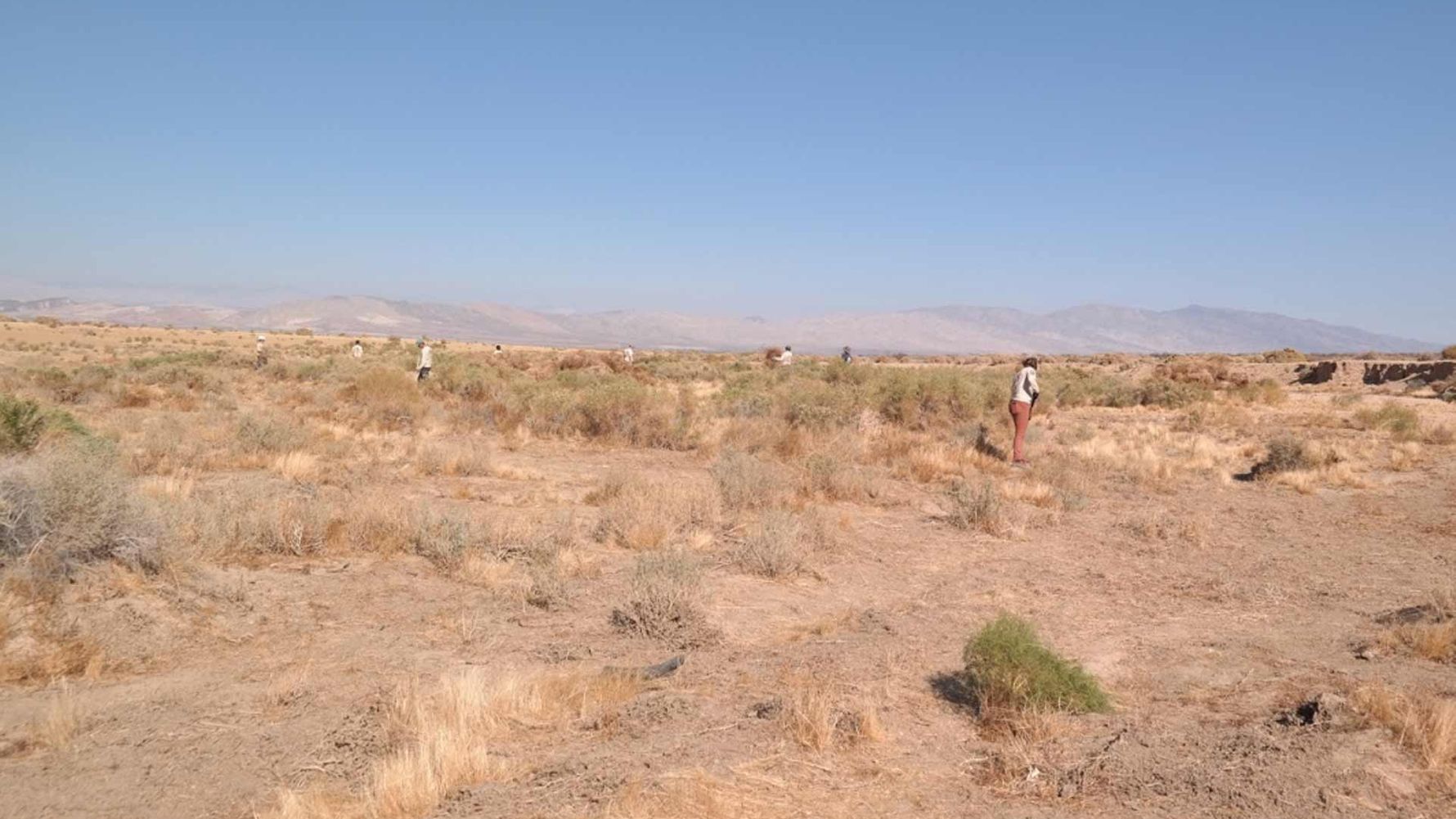 freiwilligenarbeit-usa-kalifornien-erfahrungsbericht-naturschutz-arbeiten-natucate