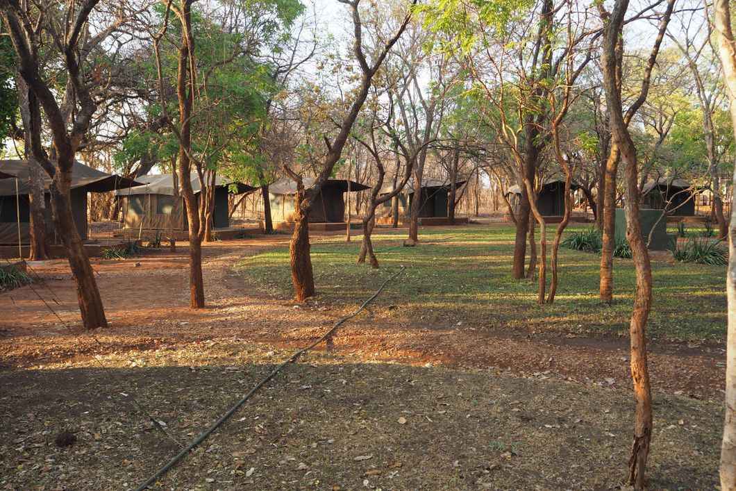 freiwilligenarbeit-sambia-artenschutz-volunteer-camp-natucate