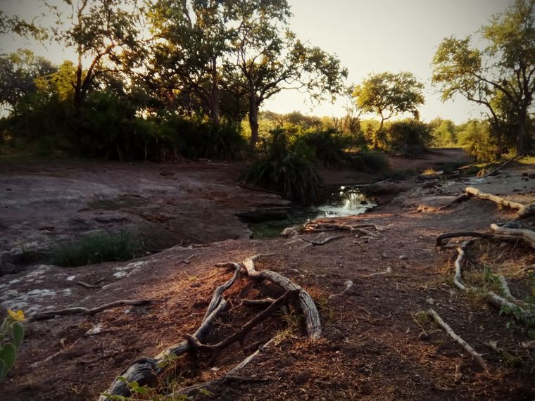 erfahrungsberichte-suedliches-afrika-pfg-rangerausbildung-wildnis-natucate