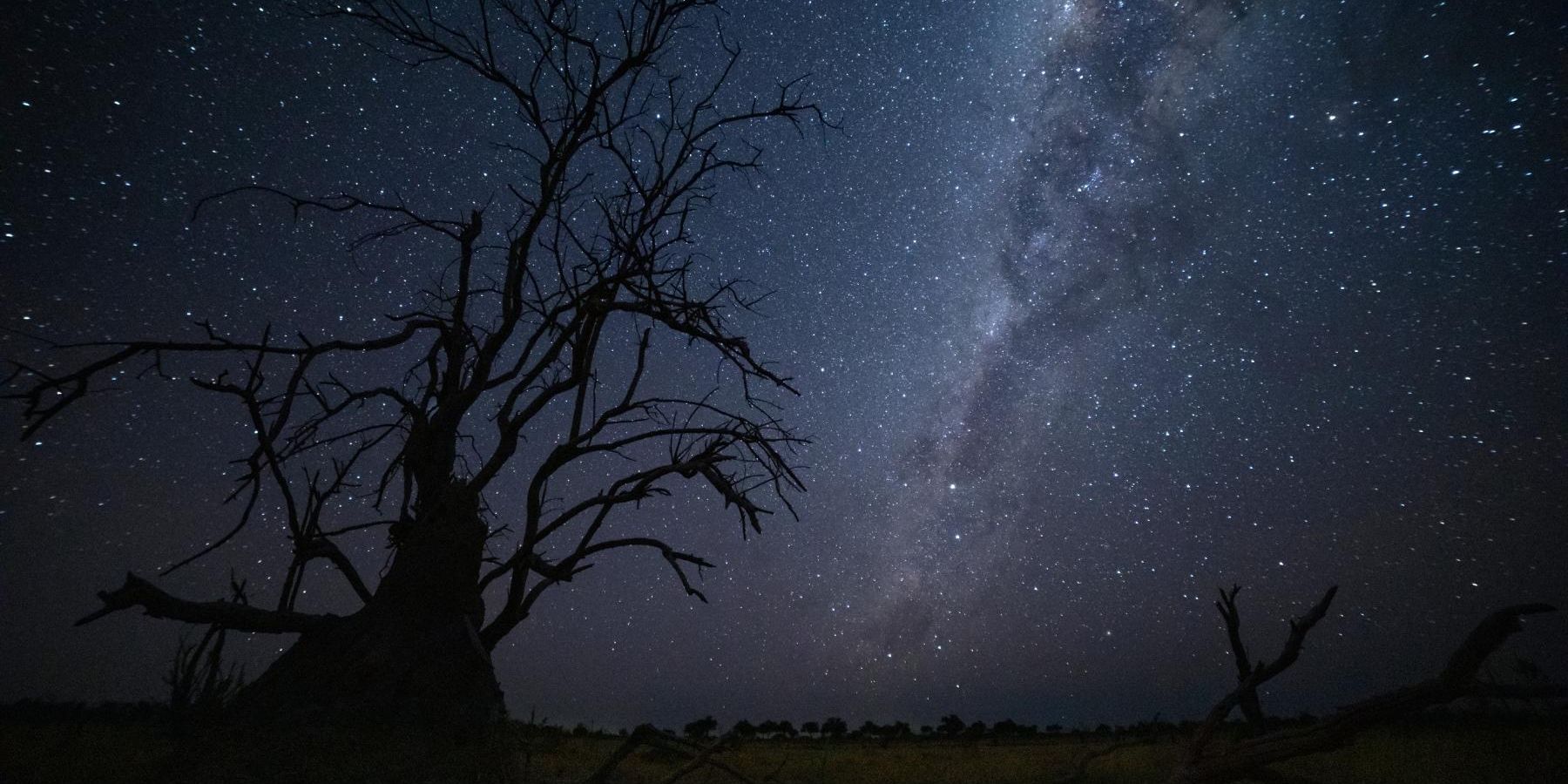 Der prunkvolle Sternenhimmel bei Nacht in Botswana