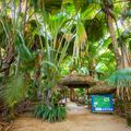 seychellen-laenderinformationen-vallee-de-mai-eingang-natucate