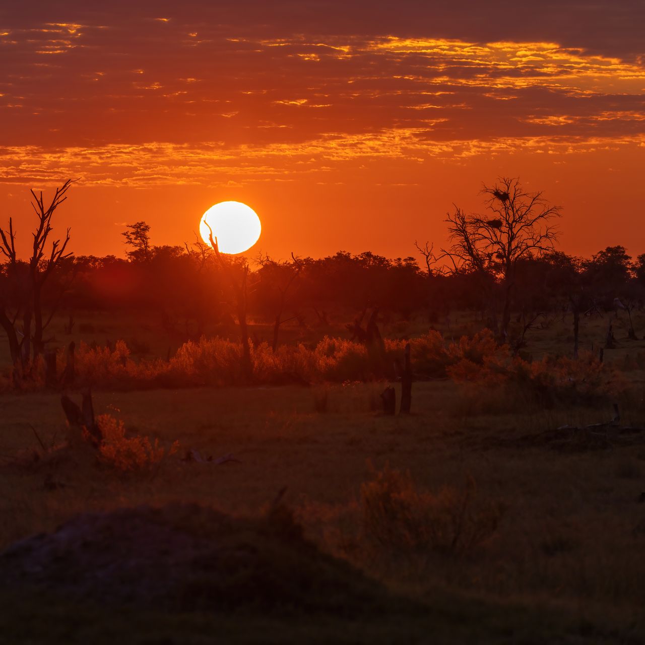 natucate-blog-erfahrungsbericht-pwe-wesley-sonnenuntergang
