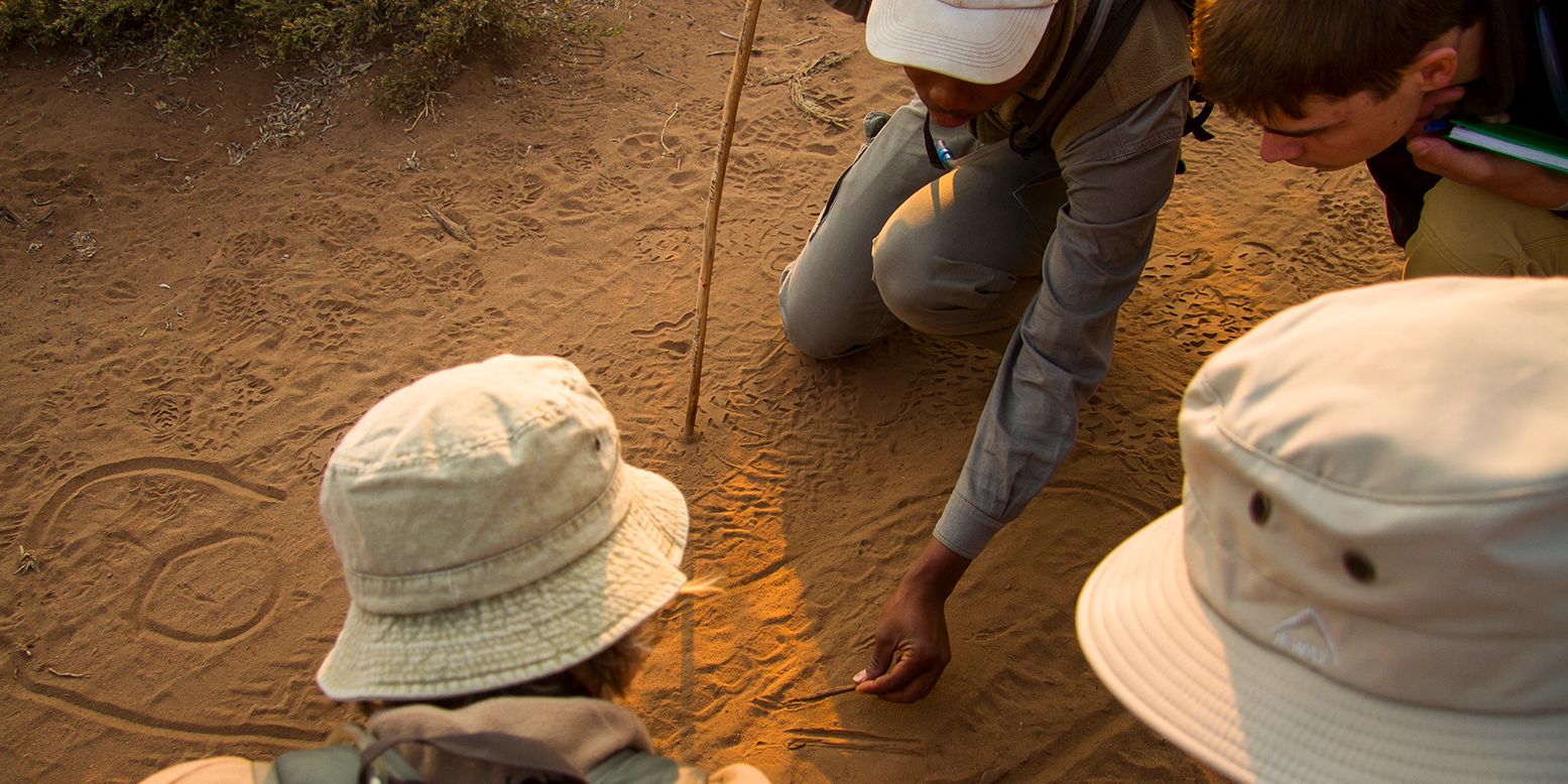 naturkurs-suedafrika-ecotracker-wildlife-monitoring-tracking-natucate