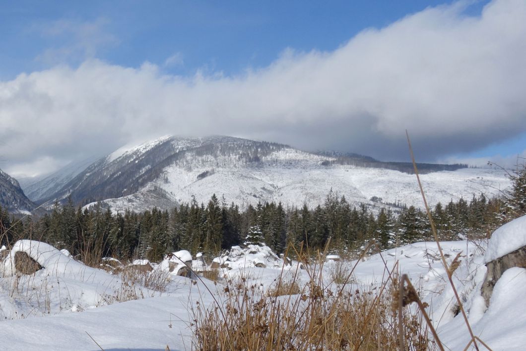 Overlooking the snow-covered mountain and forest landscape in Slovakia's Liptov region
