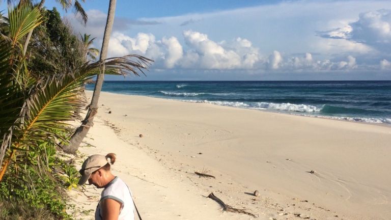 freiwilligenarbeit-seychellen-erfahrungsbericht-kundenfotos-artenschutz-strand-natucate