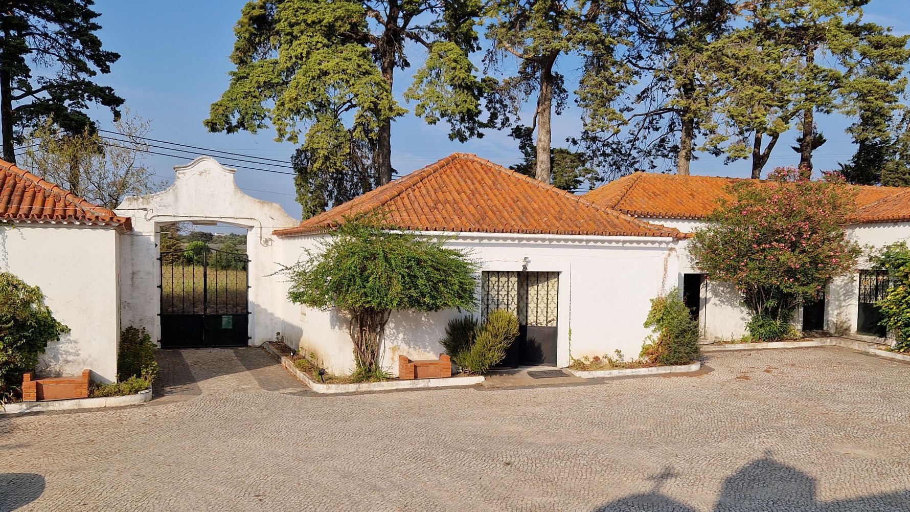 natucate-blog-review-portugal-animal-welfare-meghan-houses
