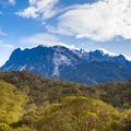 borneo-laenderinformationen-berg-ausblick-wald-natucate