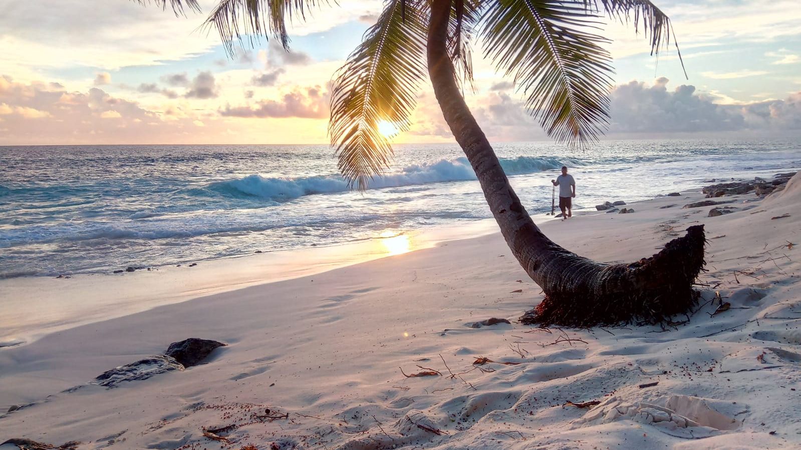 erfahrungsberichte-freiwilligenarbeit-seychellen-north-island-andreas-palme