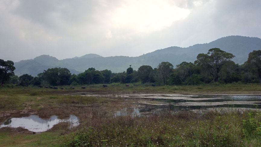 freiwilligenarbeit-sri-lanka-asien-projektbesuch