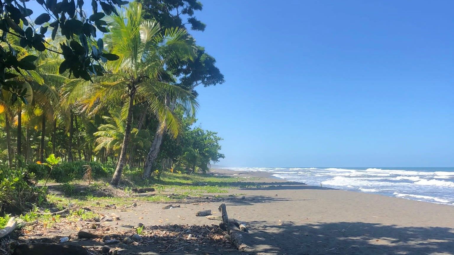 Sandstrand am Regenwald mit blauem Himmel