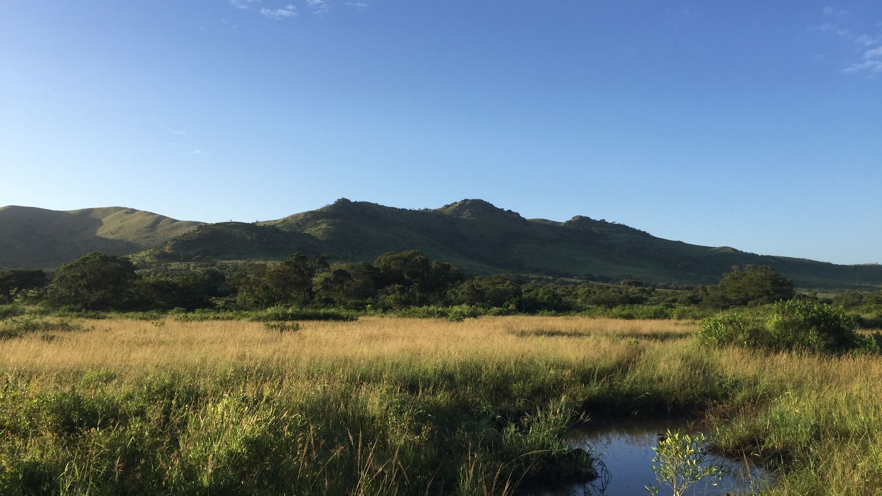 Volunteer abroad South Africa: Looking over the savannah landscape in KwaZulu-Natal
