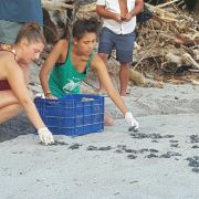 erfahrunsgbericht-costa-rica-praktikum-kundenfotos-artenschutz-strand-natucate
