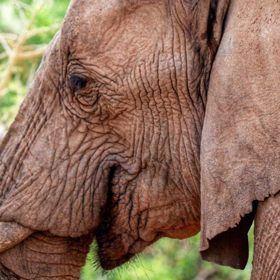 erfahrungsbericht-ranger-suedafrika-lynn