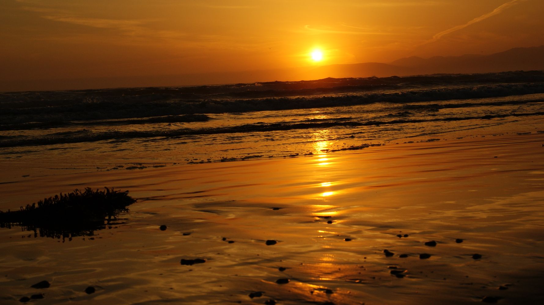 erfahrungsberichte-freiwilligenarbeit-florida-maria-sonnenuntergang-natucate