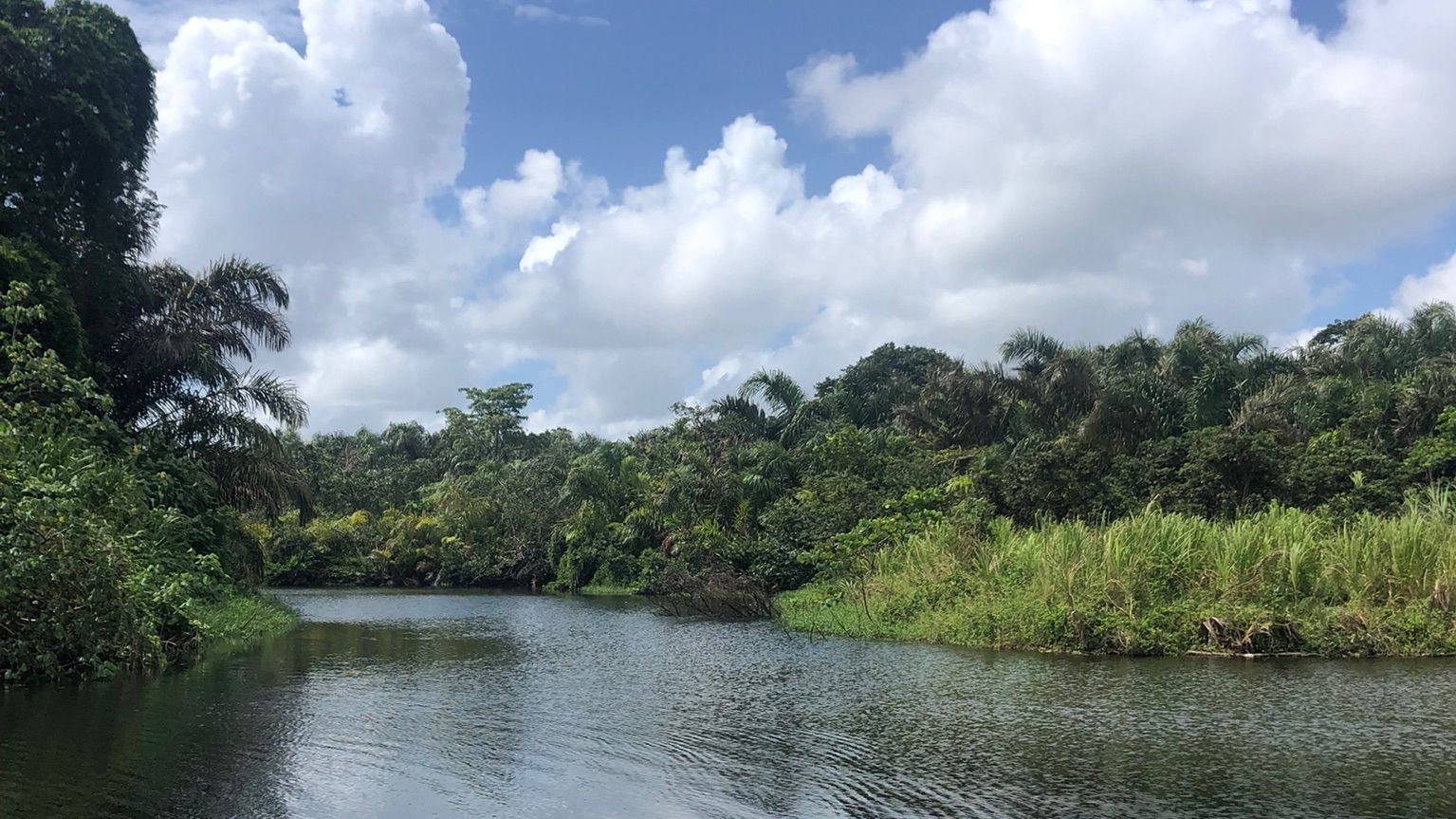 Ein ruhiges Gewässer schlägt sanfte Wellen an einem bewölkten Tag