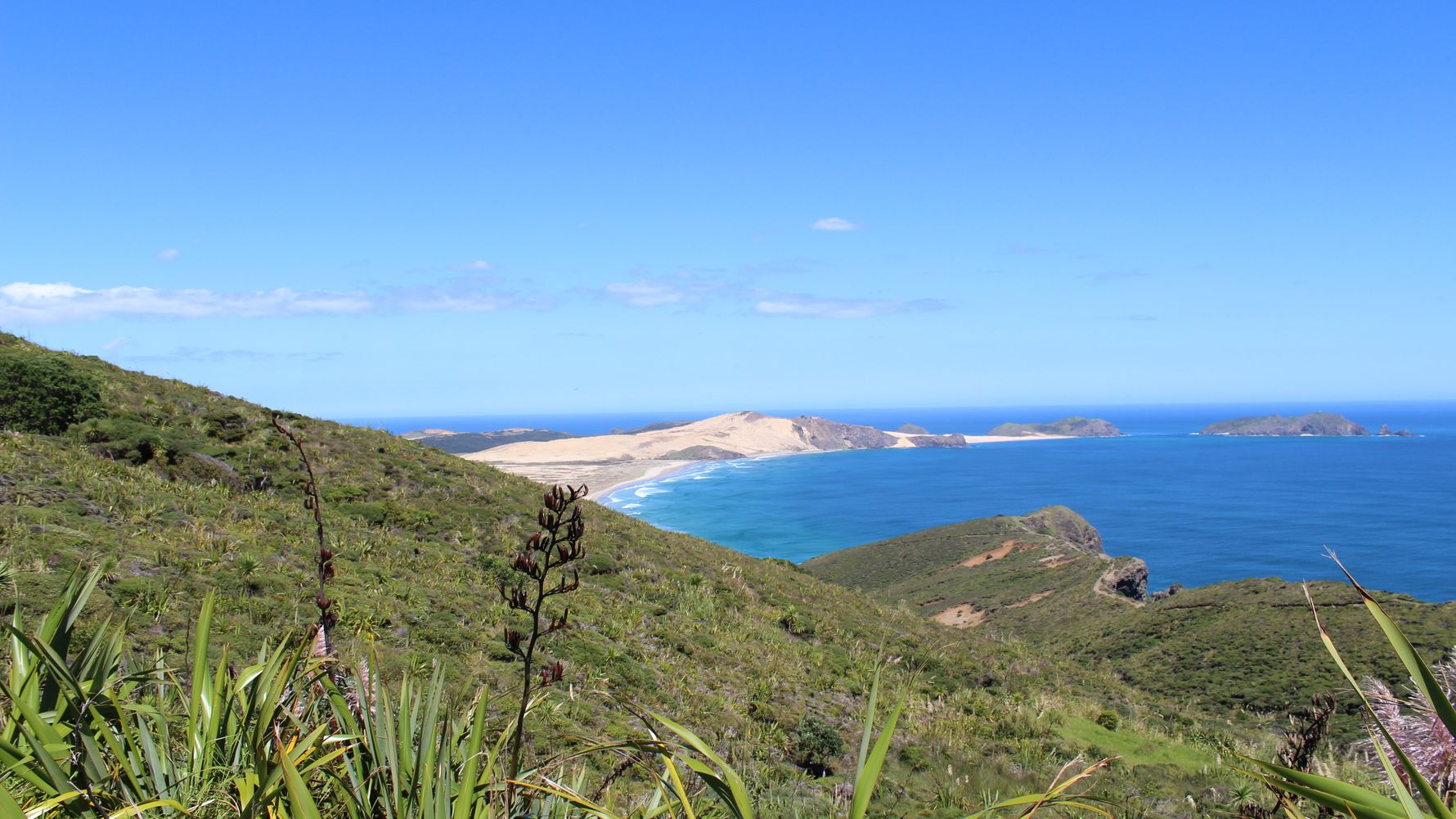 nationalparks-neuseeland-cape-reinga-blog-natucate