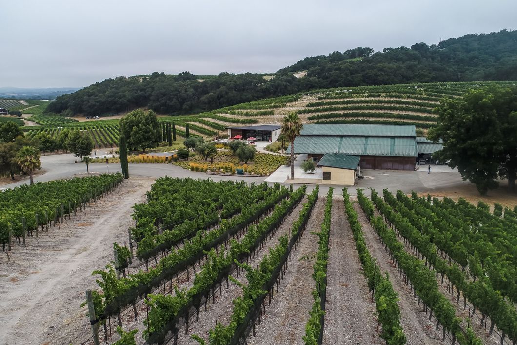 Gebaeude und Weinberge einer Winzerei im Westen der USA