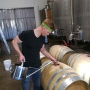 erfahrungsberichte-praktikum-usa-weinbau-michael-weinfaesser