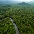 natucate-country-info-ecuador-amazonas