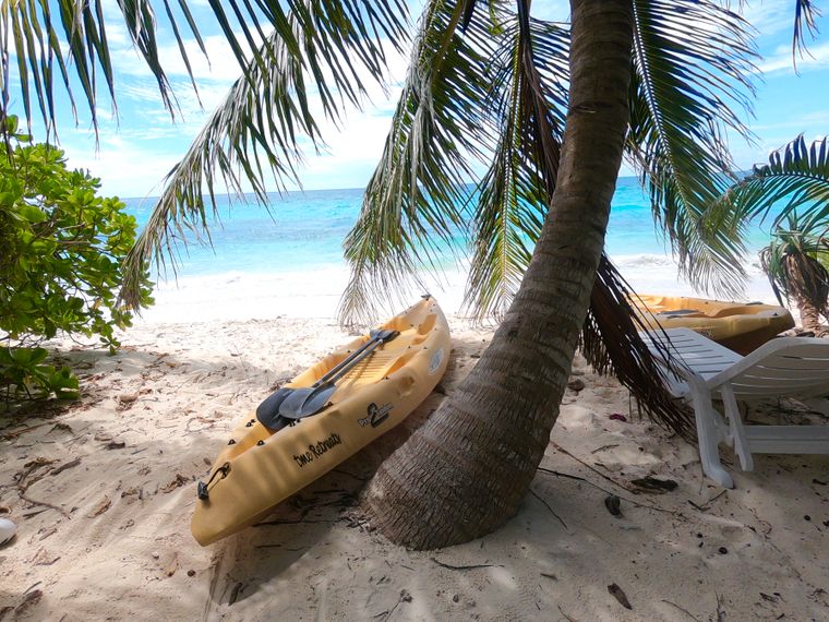 erfahrungsberichte-freiwilligenarbeit-malediven-walhaie-doris-kanu-natucate