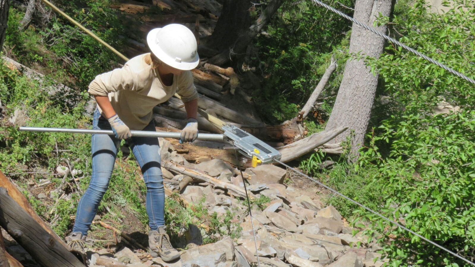 freiwilligenarbeit-usa-kalifornien-erfahrungsbericht-naturschutz-kundenfotos-arbeit-natucate