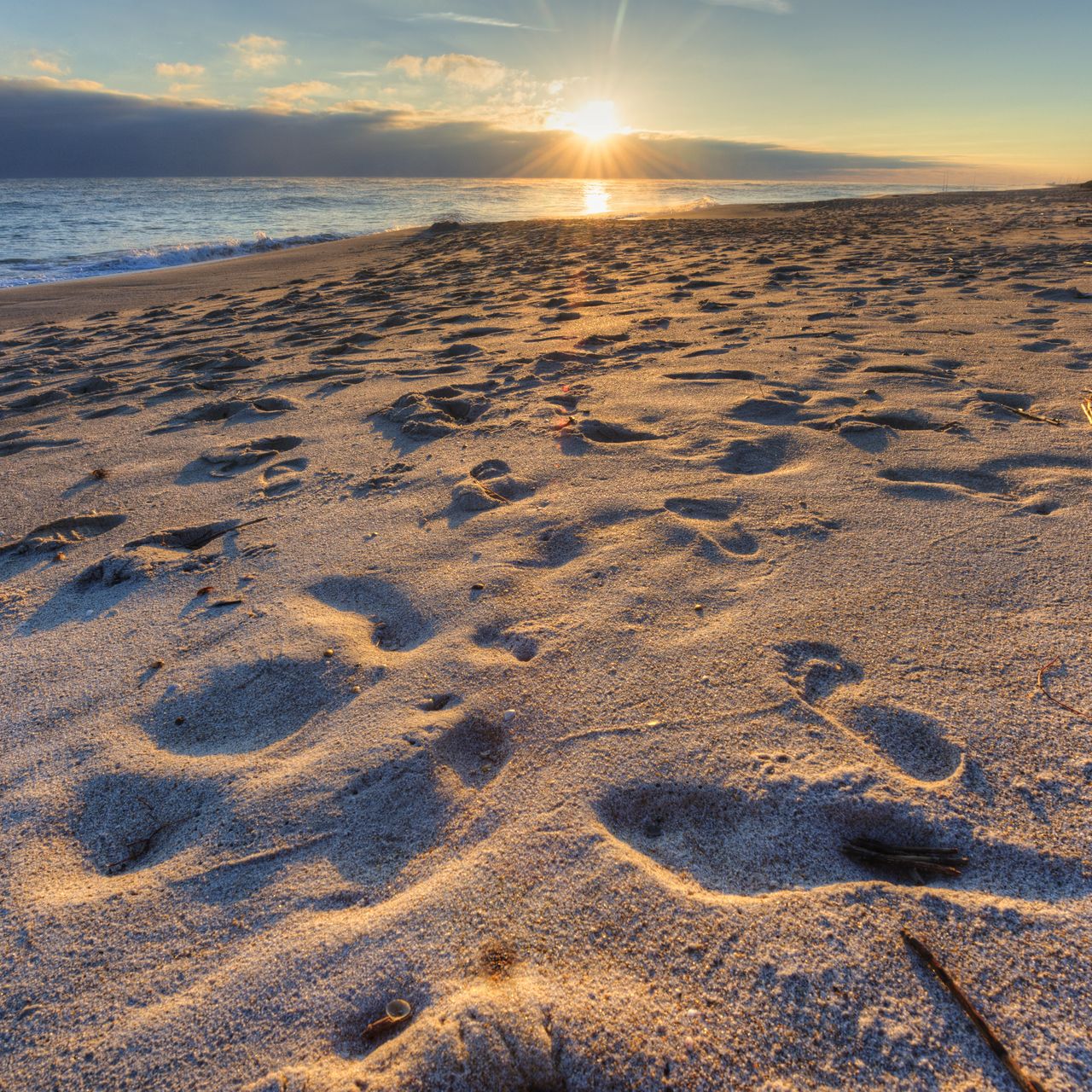 erfahrungsberichte-freiwilligenarbeit-florida-maria-strand-natucate