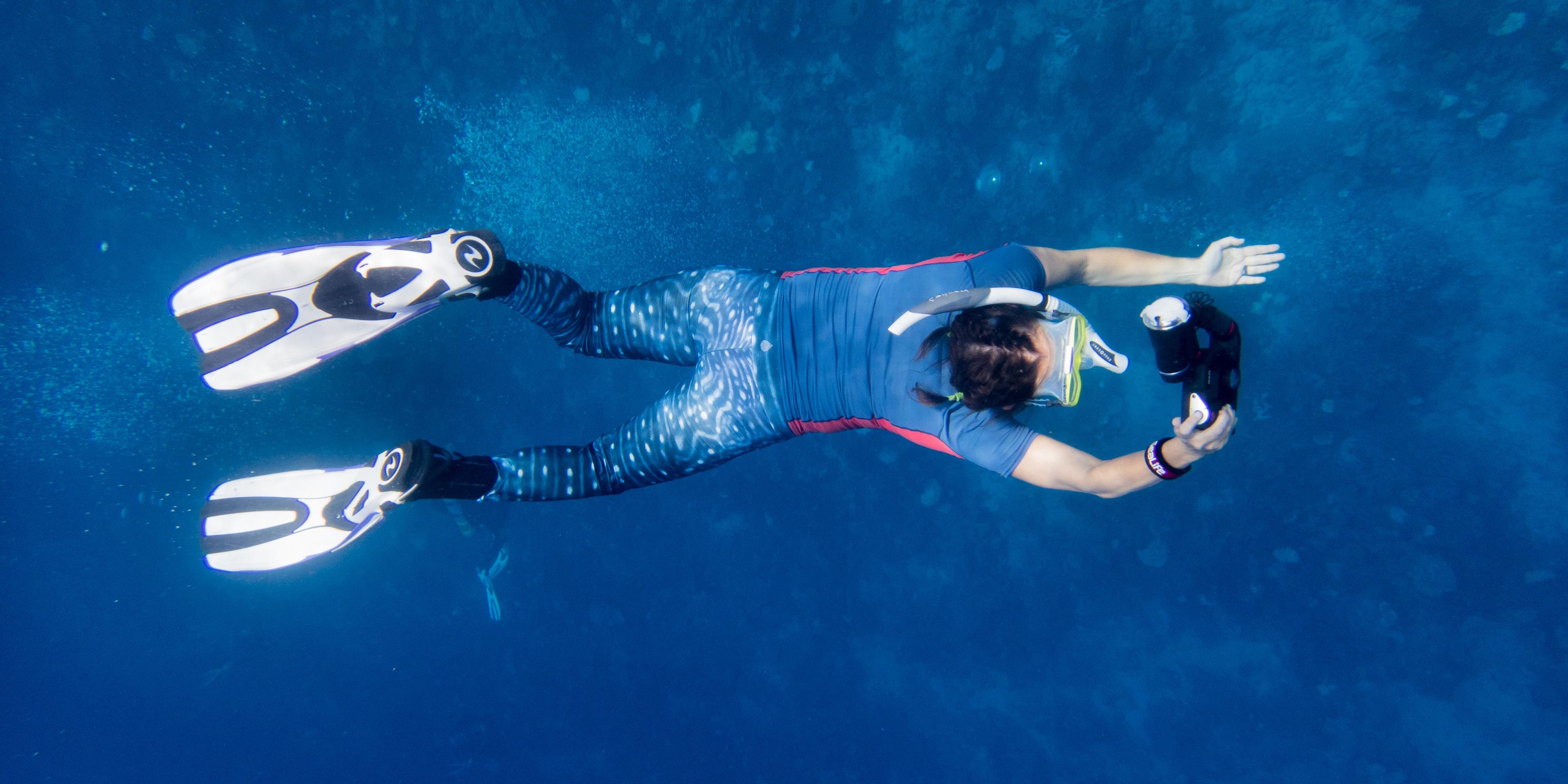 A conservation volunteer dedicating himself to protecting endangered whale sharks in the Maldives