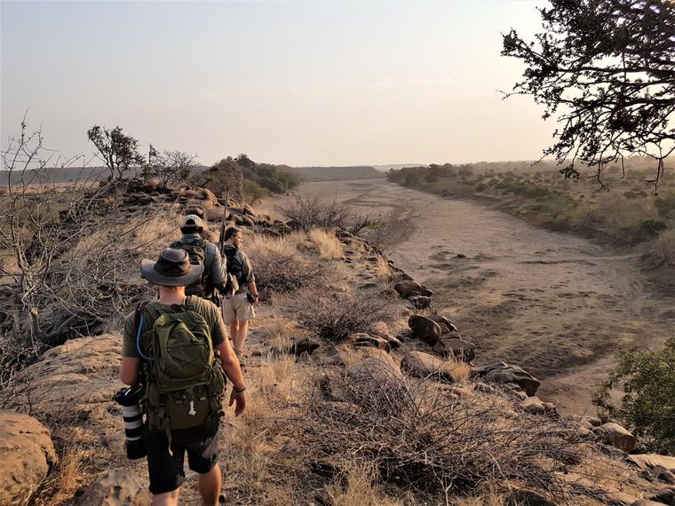 Sichtung von Wildtieren im afrikanischen Busch bei einer Pirschwanderung des Rangerkurses